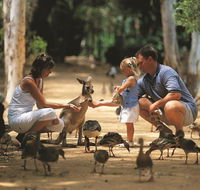 Billabong Sanctuary - Surfers Gold Coast