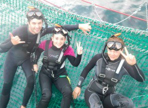Dolphin Swim Australia - Surfers Gold Coast 7