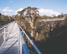 Walpole-Nornalup National Park - Surfers Gold Coast 0