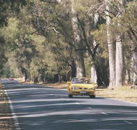 Ludlow Tuart Forest - Surfers Gold Coast
