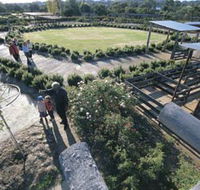 Kojonup Rose Maze - Surfers Gold Coast