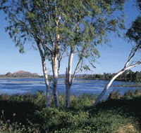 Celebrity Tree Park - Surfers Gold Coast