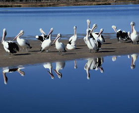 Peel Region Canoe Trails - Surfers Gold Coast 0