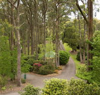 Mount Lofty Botanic Garden - Surfers Gold Coast