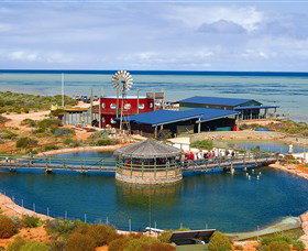 Shark Bay WA Surfers Gold Coast