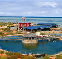 Ocean Park Aquarium - Surfers Gold Coast