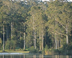 Big Brook Dam - Surfers Gold Coast 0