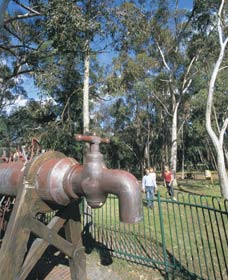 Mundaring Community Sculpture Park - Surfers Gold Coast 0
