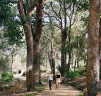 Law Trail and Lotterywest Federation Walkway Kings Park - Surfers Gold Coast