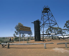 Bayleys Reward Fly Flat - Surfers Gold Coast 0
