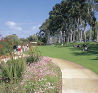 Kings Park Free Guided Walks - Surfers Gold Coast
