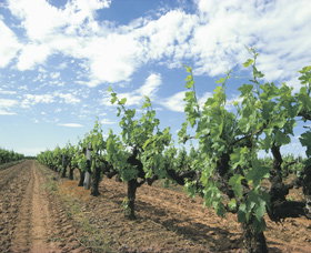 Karridale WA Surfers Gold Coast