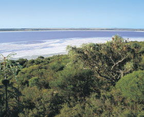 Pink Lake - Surfers Gold Coast 0