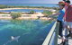 Shark Bay Marine Park - thumb 0