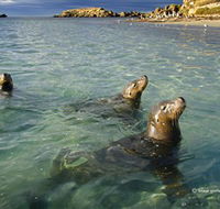 Shoalwater Islands Marine Park - Surfers Gold Coast