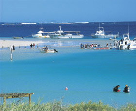 Bill's Bay - Surfers Gold Coast 0