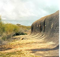 Totadgin Dam Reserve - Surfers Gold Coast
