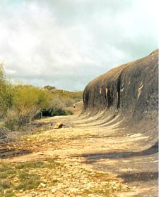 Totadgin Dam Reserve - Surfers Gold Coast 0