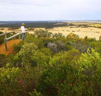 Archer Drive Scenic Drive and Lookout - Surfers Gold Coast