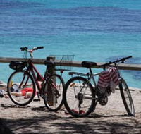 Parker Point Marine Snorkel Trail - Surfers Gold Coast
