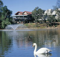 White Swans - Surfers Gold Coast