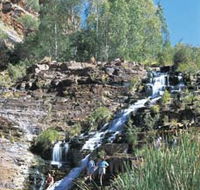 Fortescue Falls - Surfers Gold Coast