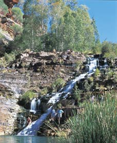 Fortescue Falls - Surfers Gold Coast 0