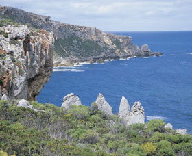 Point D'Entrecasteaux - Surfers Gold Coast 0