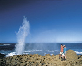 The Blowholes Carnarvon - Surfers Gold Coast 0