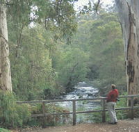 Cascades - Surfers Gold Coast