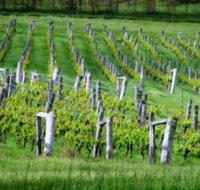 Sienna Estate Winery - Surfers Gold Coast