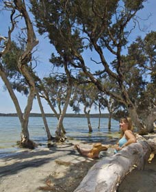 Stokes National Park - Surfers Gold Coast 0