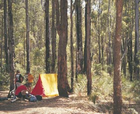 Lane Poole Reserve - Surfers Gold Coast 0