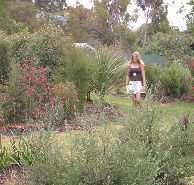 The Mythic Mazes - Surfers Gold Coast