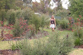 The Mythic Mazes - Surfers Gold Coast 0