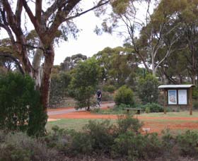 Gribble Creek Walk And Cycle Way - Surfers Gold Coast 0