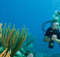 Coastal Water Dive - Surfers Gold Coast