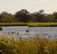 Anytime Adventures in Mandurah  the Peel Region - Surfers Gold Coast