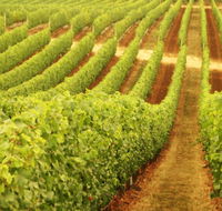 Happs Wines - Surfers Gold Coast
