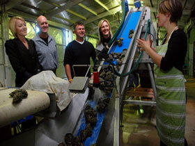 Eyre Peninsula's Seafood Trail - Surfers Gold Coast 0