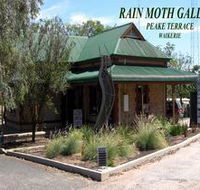 Rain Moth Gallery - Surfers Gold Coast