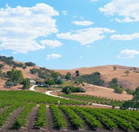 Bethany Wines - Surfers Gold Coast