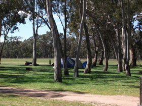 Moyhall SA Surfers Gold Coast