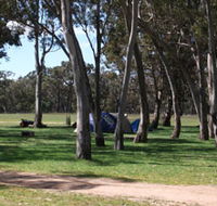 Black Cockatoo Bush Camp - Surfers Gold Coast
