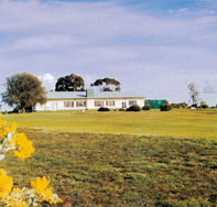 Lucindale Country Club - Surfers Gold Coast