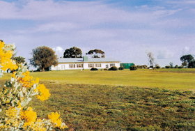 Lucindale Country Club - Surfers Gold Coast 0