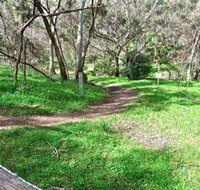 Yurrebilla Trail - Surfers Gold Coast