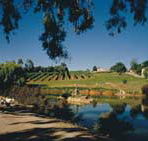 Mount Hurtle Winery home of Geoff Merrill Wines - Surfers Gold Coast