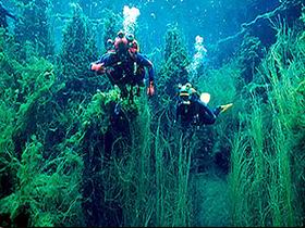 Mingbool SA Surfers Gold Coast