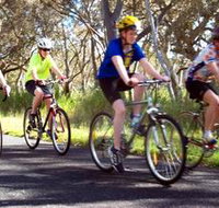 Penola Cycling Trails - Surfers Gold Coast